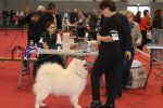 Meilleur de Sexe Opposé Toulouse 2017